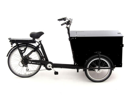 Babboe Pro Trike-E 300L RB/HD 450